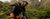 Men's Trail Cycling Kit