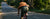 Men's Supremo Bib Shorts