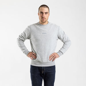 Men's Crew Neck Sweater (Grey)